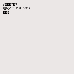 #EBE7E7 - Ebb Color Image