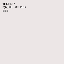 #ECE6E7 - Ebb Color Image