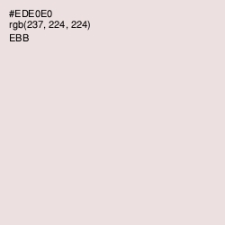 #EDE0E0 - Ebb Color Image