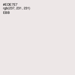 #EDE7E7 - Ebb Color Image