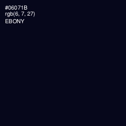 #06071B - Ebony Color Image