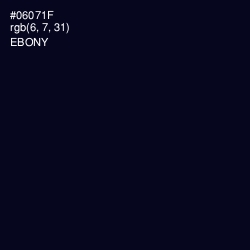 #06071F - Ebony Color Image