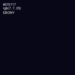 #070717 - Ebony Color Image