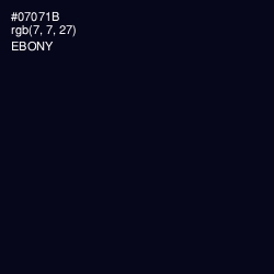 #07071B - Ebony Color Image