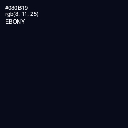 #080B19 - Ebony Color Image