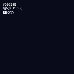 #090B1B - Ebony Color Image