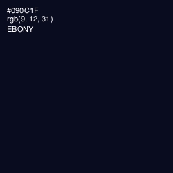 #090C1F - Ebony Color Image