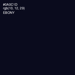#0A0C1D - Ebony Color Image