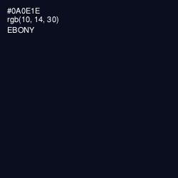 #0A0E1E - Ebony Color Image