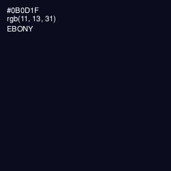 #0B0D1F - Ebony Color Image