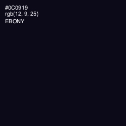#0C0919 - Ebony Color Image