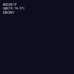 #0C0E1F - Ebony Color Image
