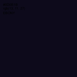 #0D0B1B - Ebony Color Image