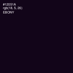 #12051A - Ebony Color Image
