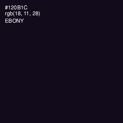 #120B1C - Ebony Color Image