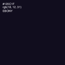 #120C1F - Ebony Color Image