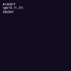 #130B1F - Ebony Color Image