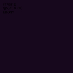 #17081E - Ebony Color Image