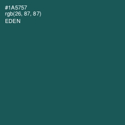 #1A5757 - Eden Color Image