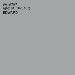 #A1A7A7 - Edward Color Image