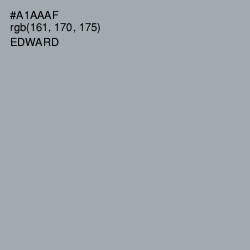 #A1AAAF - Edward Color Image