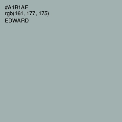 #A1B1AF - Edward Color Image
