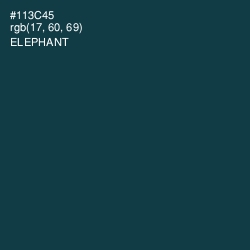 #113C45 - Elephant Color Image