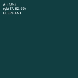 #113E41 - Elephant Color Image