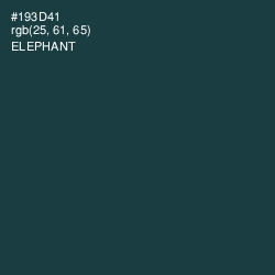 #193D41 - Elephant Color Image