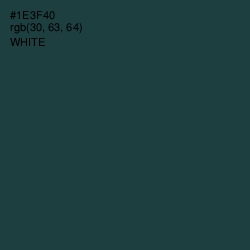 #1E3F40 - Elephant Color Image