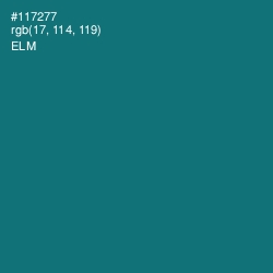 #117277 - Elm Color Image