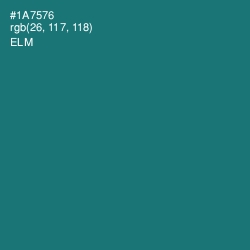 #1A7576 - Elm Color Image