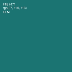 #1B7471 - Elm Color Image