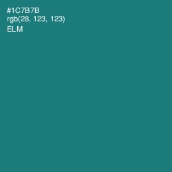#1C7B7B - Elm Color Image