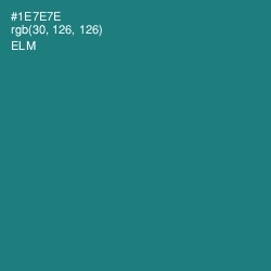 #1E7E7E - Elm Color Image
