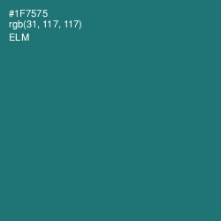 #1F7575 - Elm Color Image