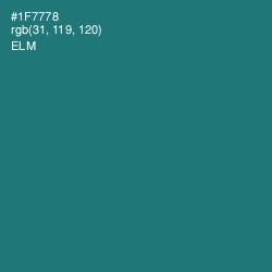 #1F7778 - Elm Color Image