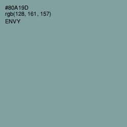 #80A19D - Envy Color Image