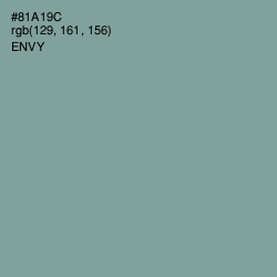 #81A19C - Envy Color Image