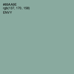 #89AA9E - Envy Color Image