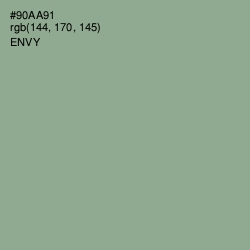 #90AA91 - Envy Color Image