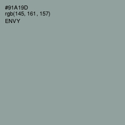 #91A19D - Envy Color Image