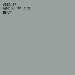 #99A19F - Envy Color Image