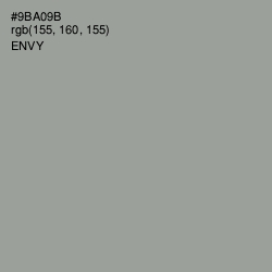 #9BA09B - Envy Color Image