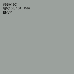 #9BA19C - Envy Color Image