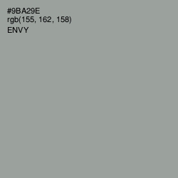 #9BA29E - Envy Color Image
