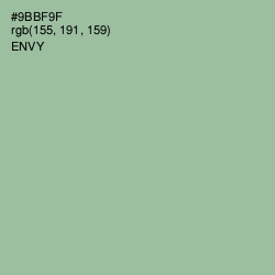 #9BBF9F - Envy Color Image