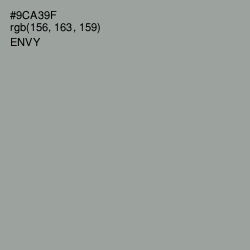 #9CA39F - Envy Color Image