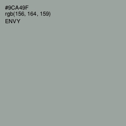 #9CA49F - Envy Color Image