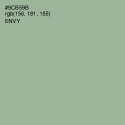 #9CB59B - Envy Color Image